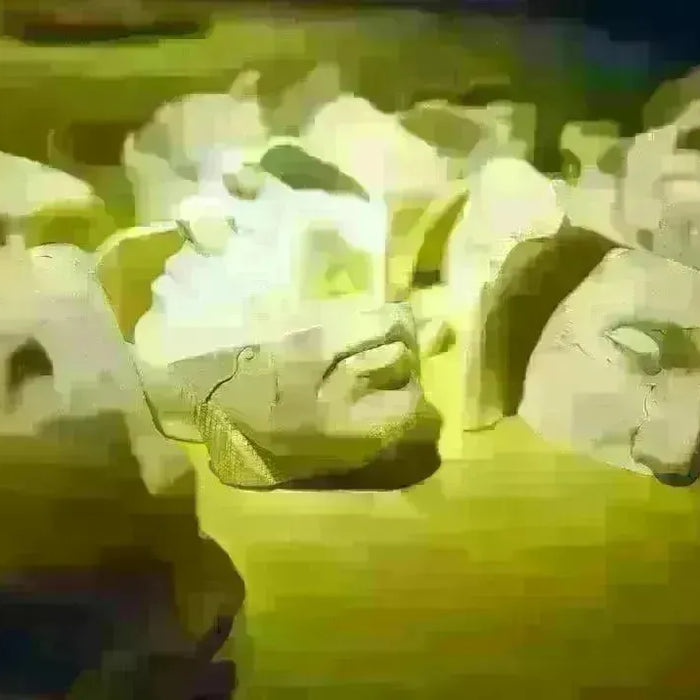 Everything You Need to Know About KN95 Face Masks