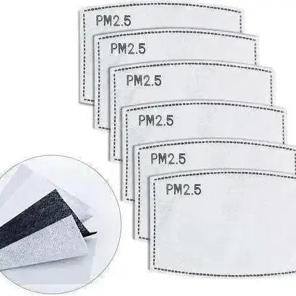 The Role of Masks in Controlling Bird Flu Spread